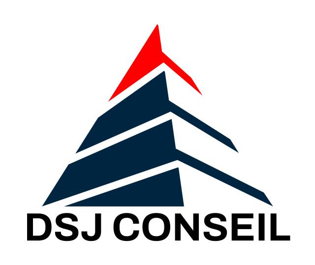 DSJCONSEIL